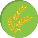 Goodness of wheat.png