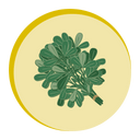 M_Britannia_KasuriMethi.png
