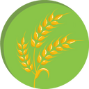 wholewheatbig.png